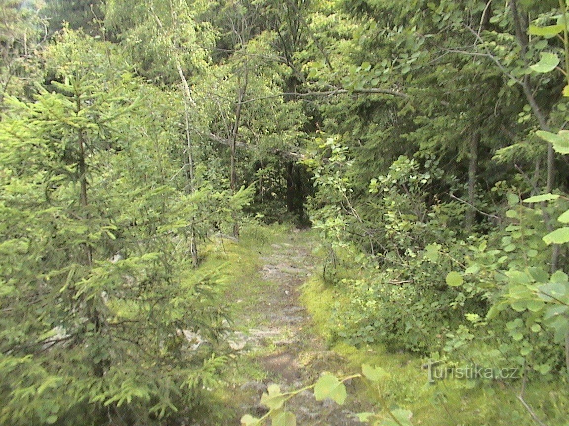 Tanvald-Terezinka-Muchov-Vrchůra-Berany-Černá studnice