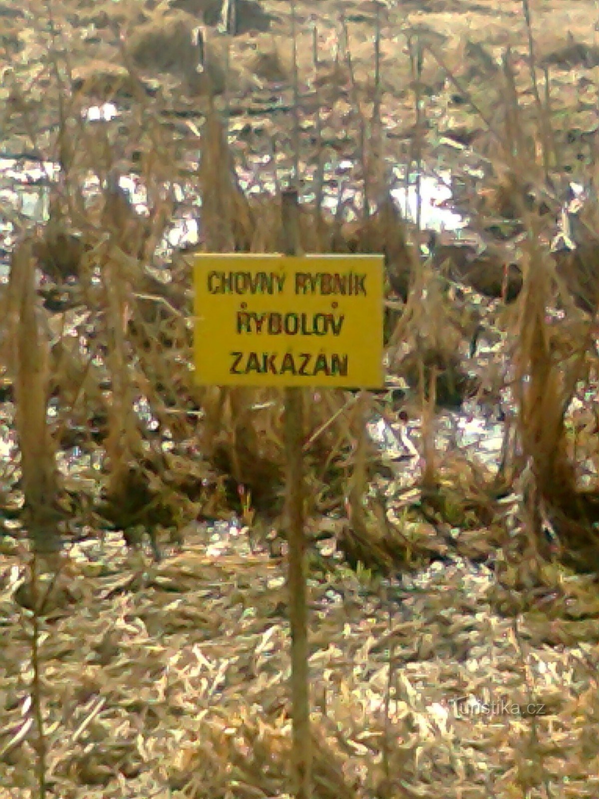 There are more of these markings in the former pond and testify to fish farming