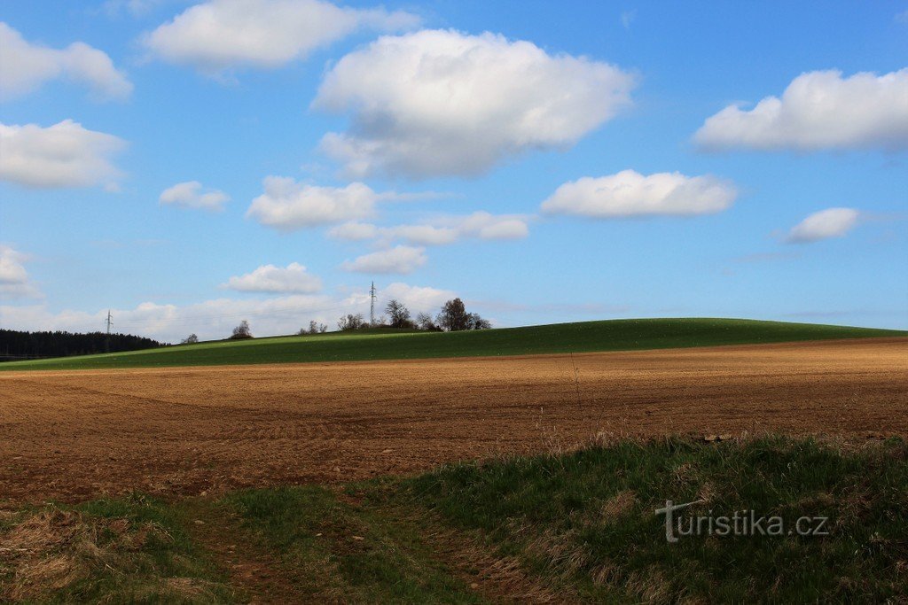 Tedražicko, Blick aus dem Tal des Tedražický-Bachs