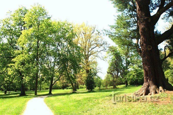 Telč - parque del castillo