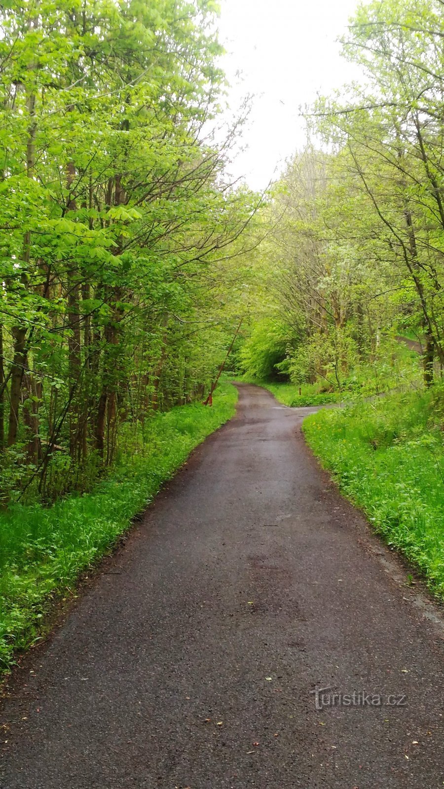 Vallée de Telšské