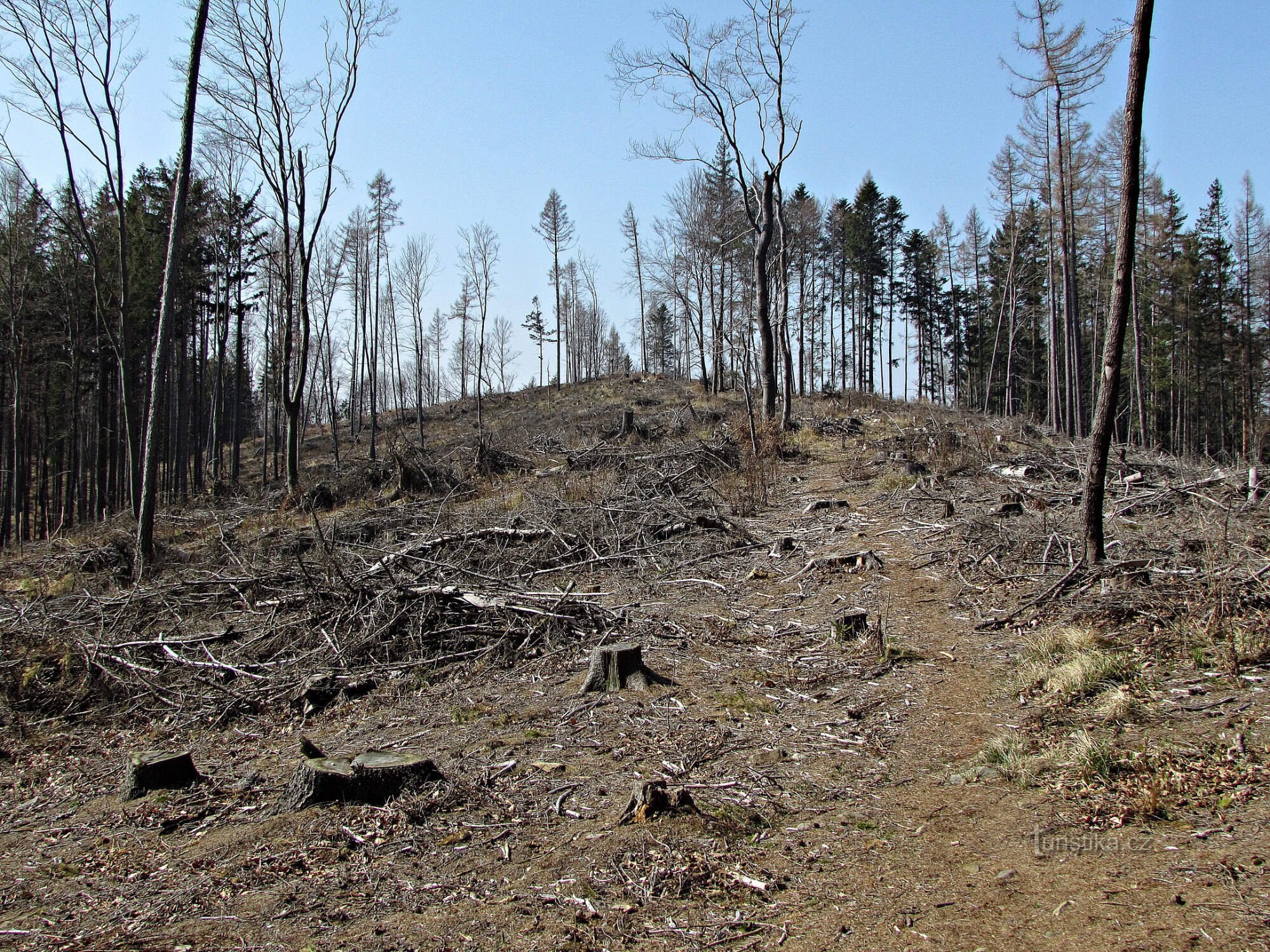 die Spitze von Brdo