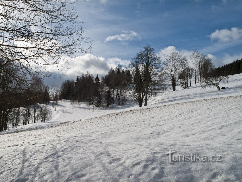 Presque le printemps près de Velké Vrbno