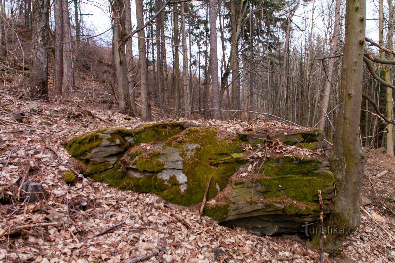 Presque une table en pierre