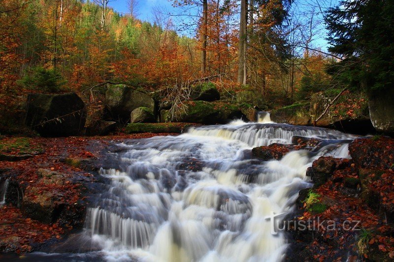 Ce niveau appartient aux plus élevés. Maintenant, en automne, il y a beaucoup de feuilles colorées.