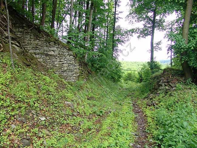 Tepenec