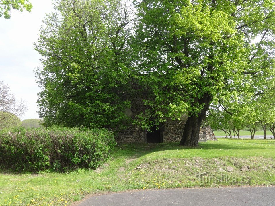 Teplice – zřícenina kostela sv. Prokopa