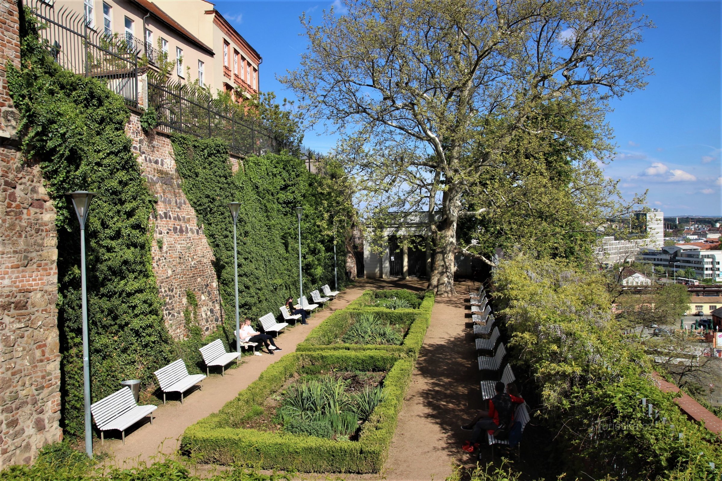 Die Terrasse unter der Platane gilt als der beeindruckendste und schwierigste Ort in Denisovy