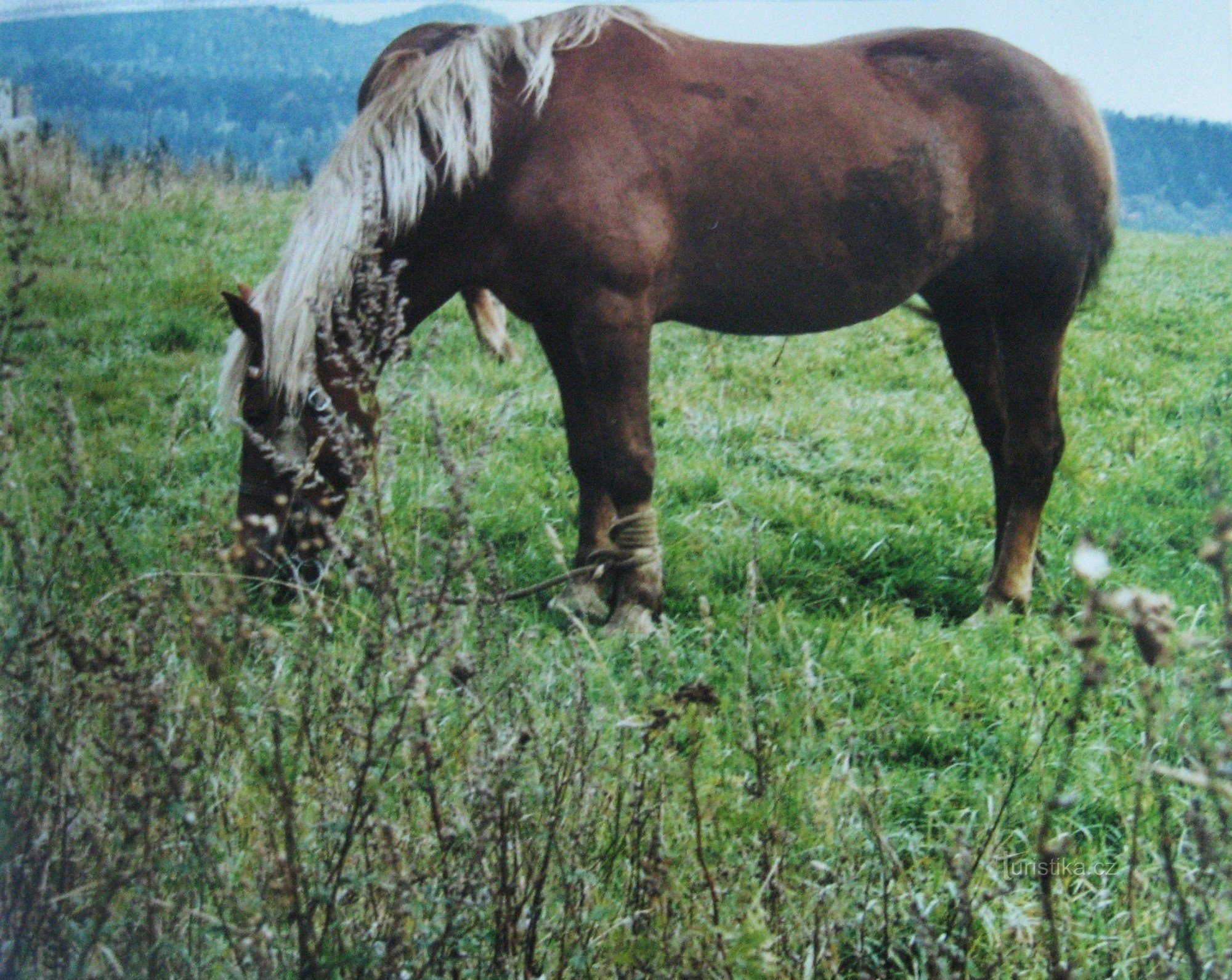 Aussichtsterrasse und Felsen bei Provodov