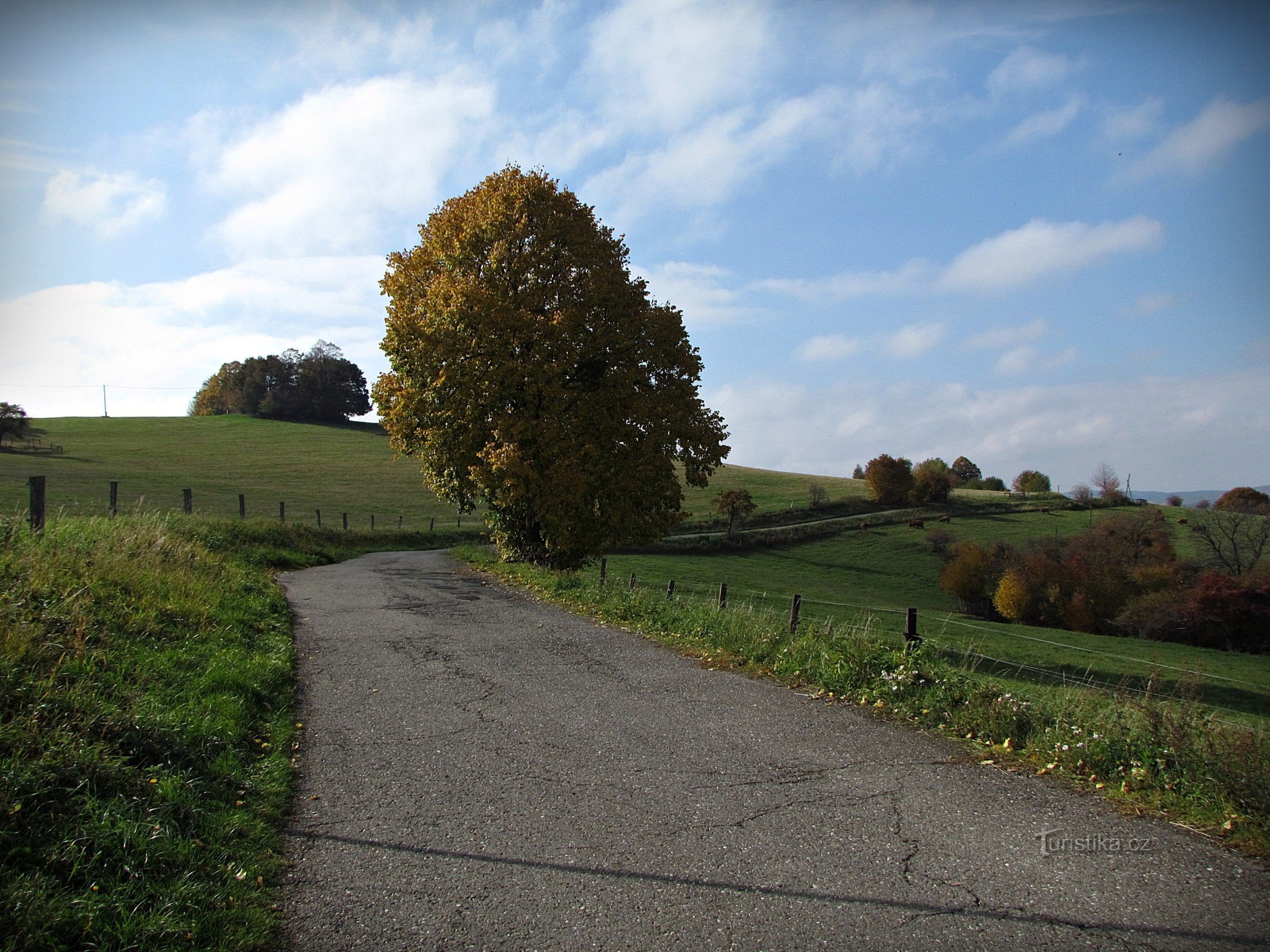 Terrasseudsigt over Lípa