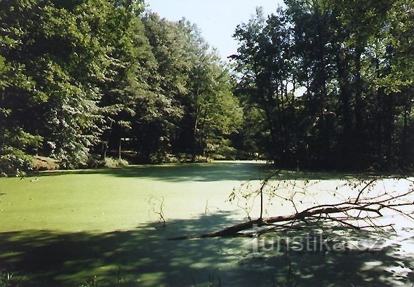 Terčino (Terezino) údolí