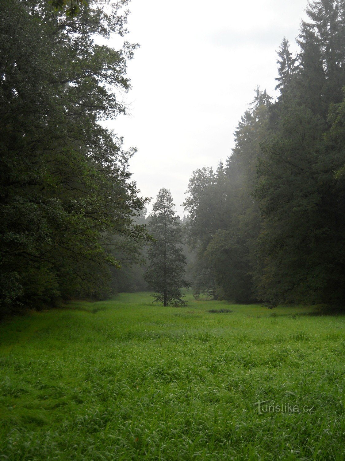 Thung lũng Terčino - đồng cỏ