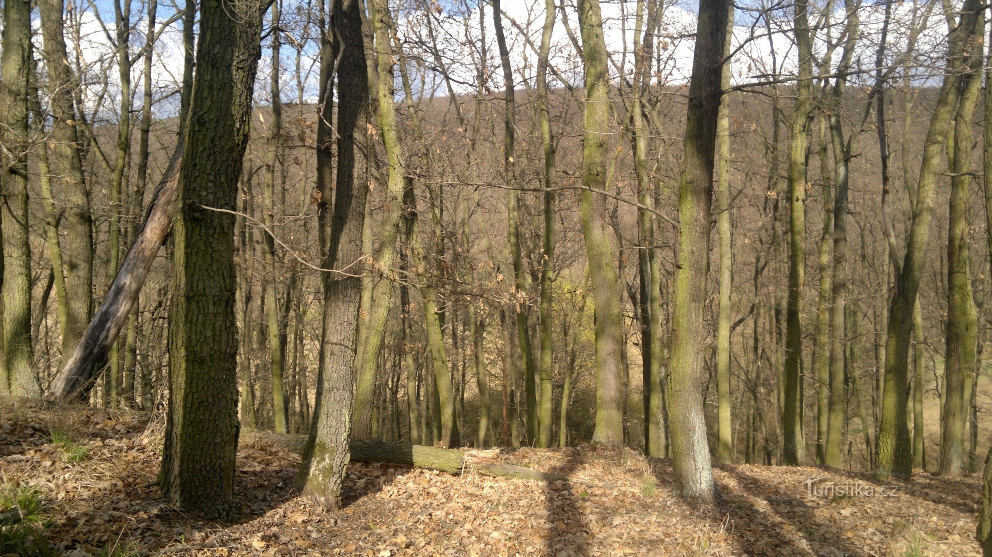 Desníveis do terreno, possivelmente uma muralha da época em que aqui existia um castelo