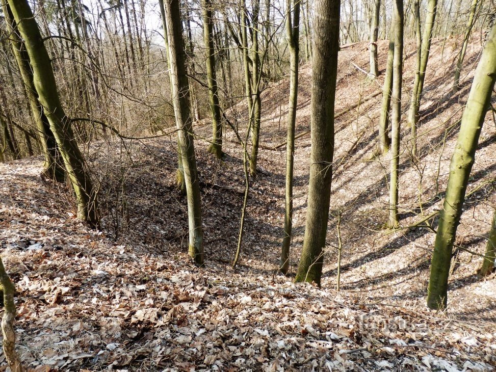 Terrænujævnheder (grøfter og volde)