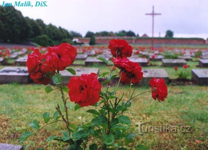 Terezin