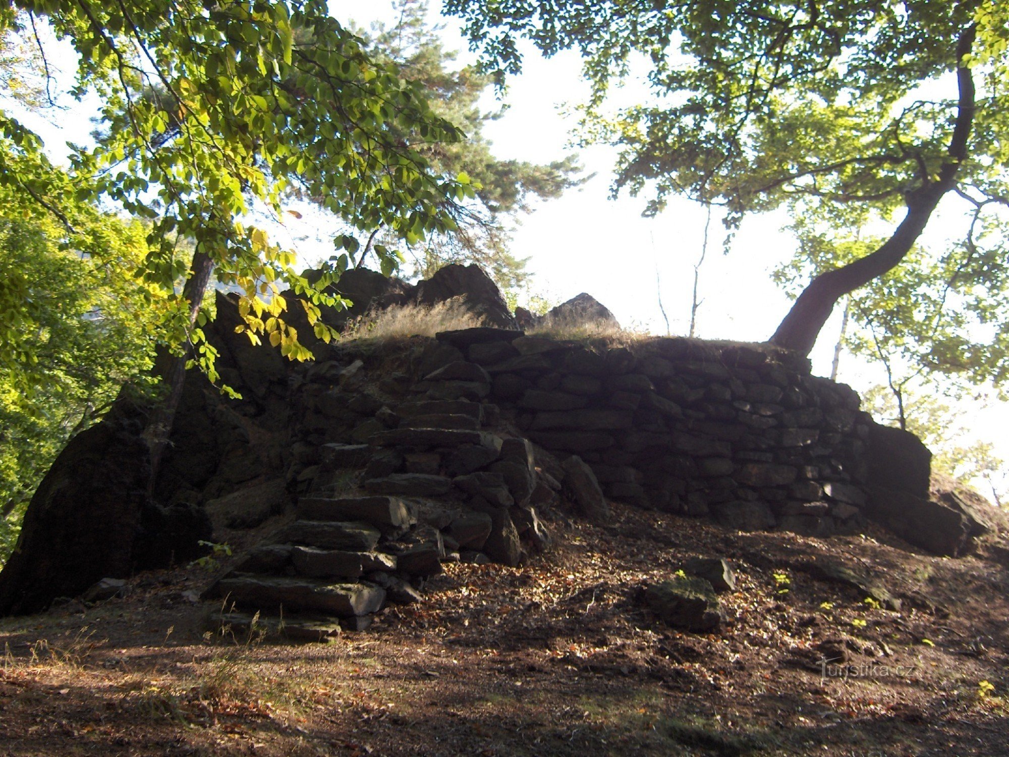 Le point de vue de Thérèse