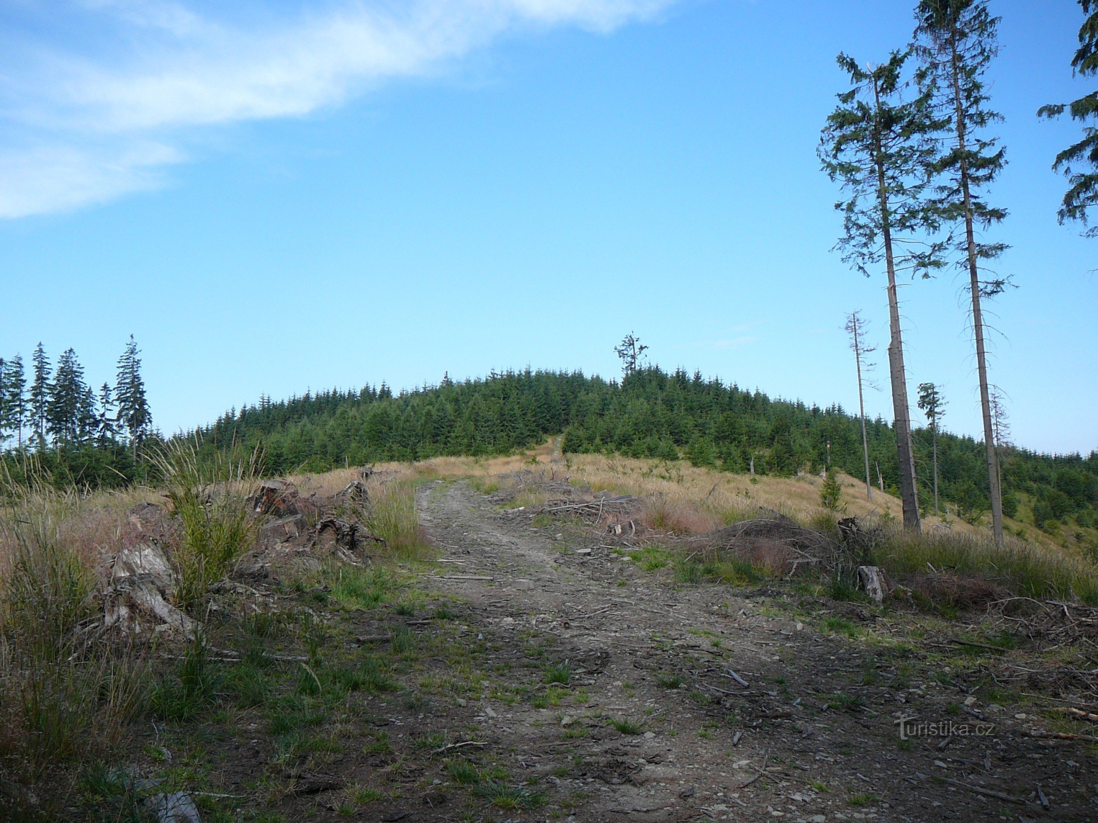 Gebäck aus Balcarka