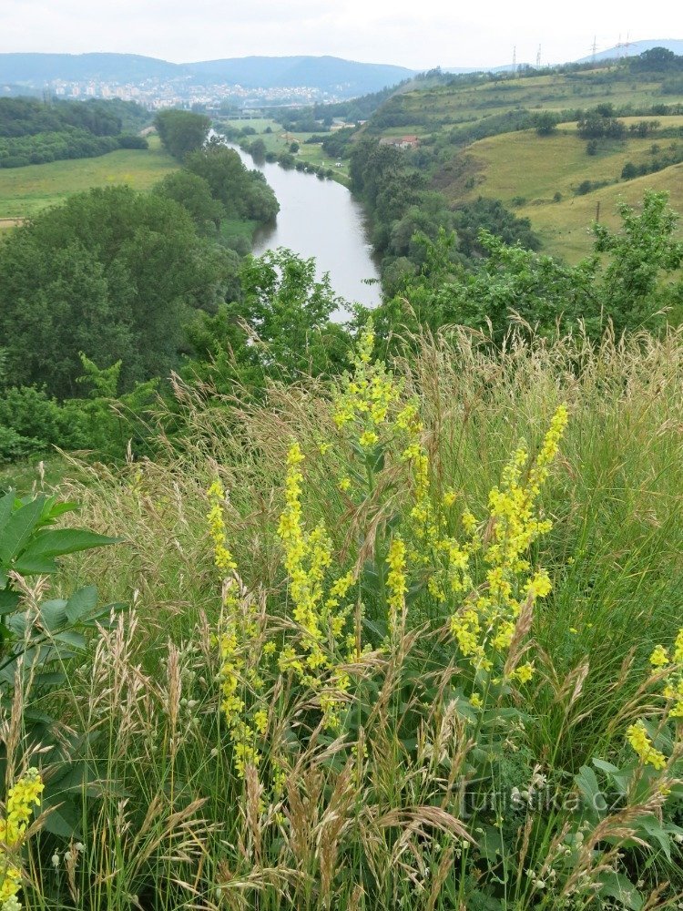 Tantchens Aussicht