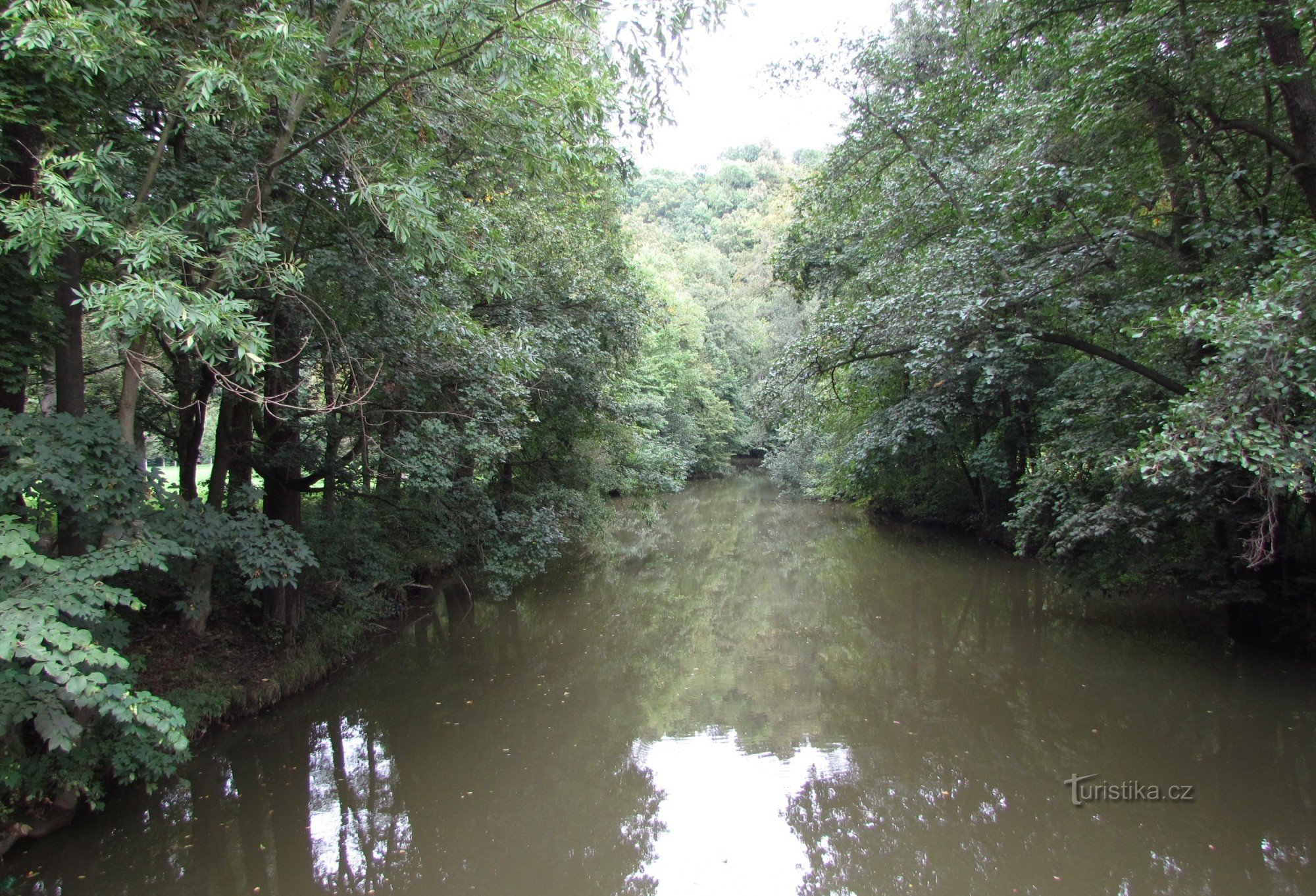 Silent Águila