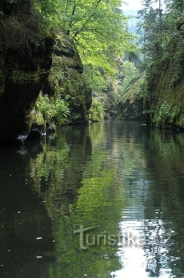 Hẻm núi im lặng: Silent Gorge