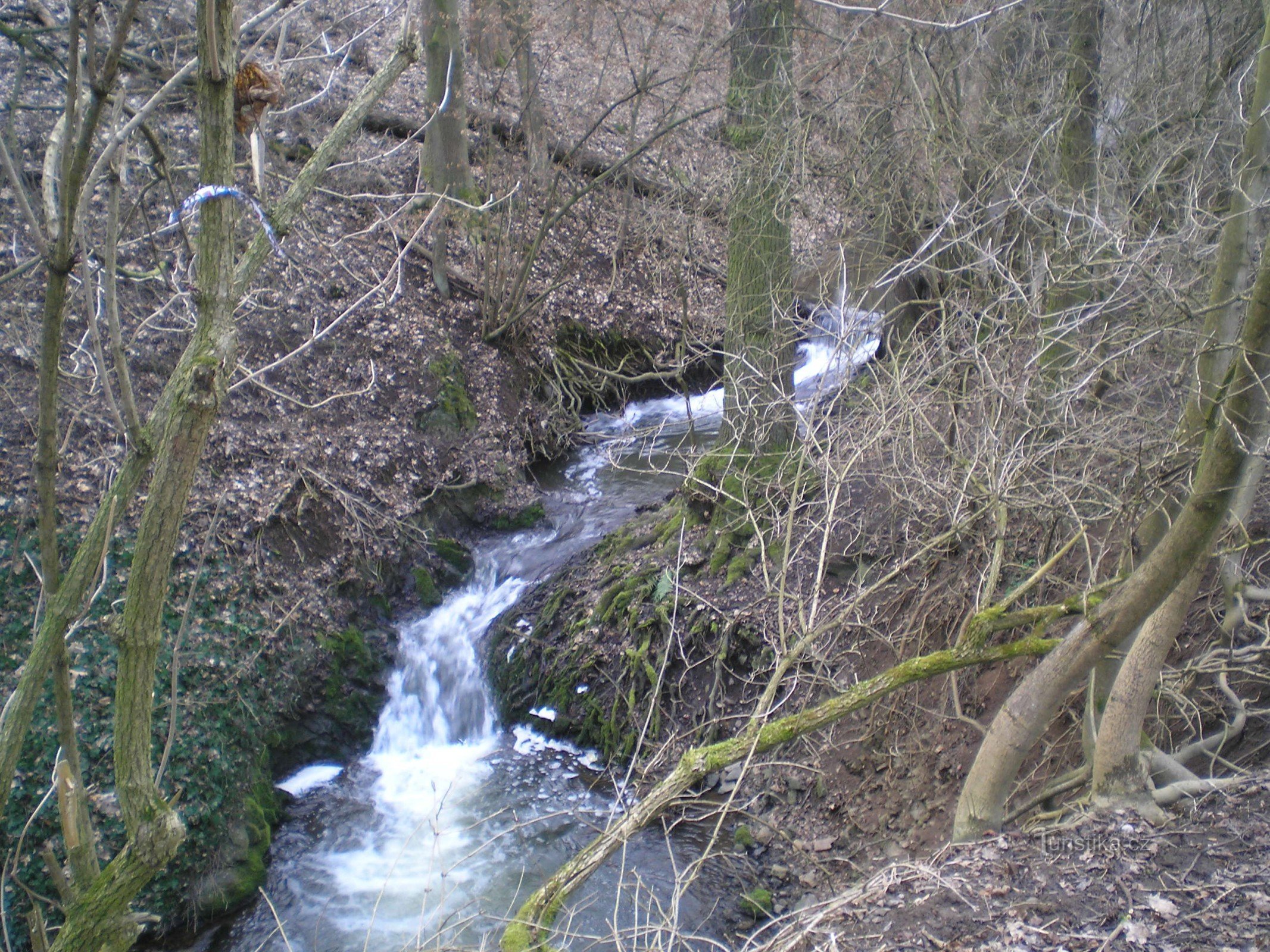 Vallée silencieuse