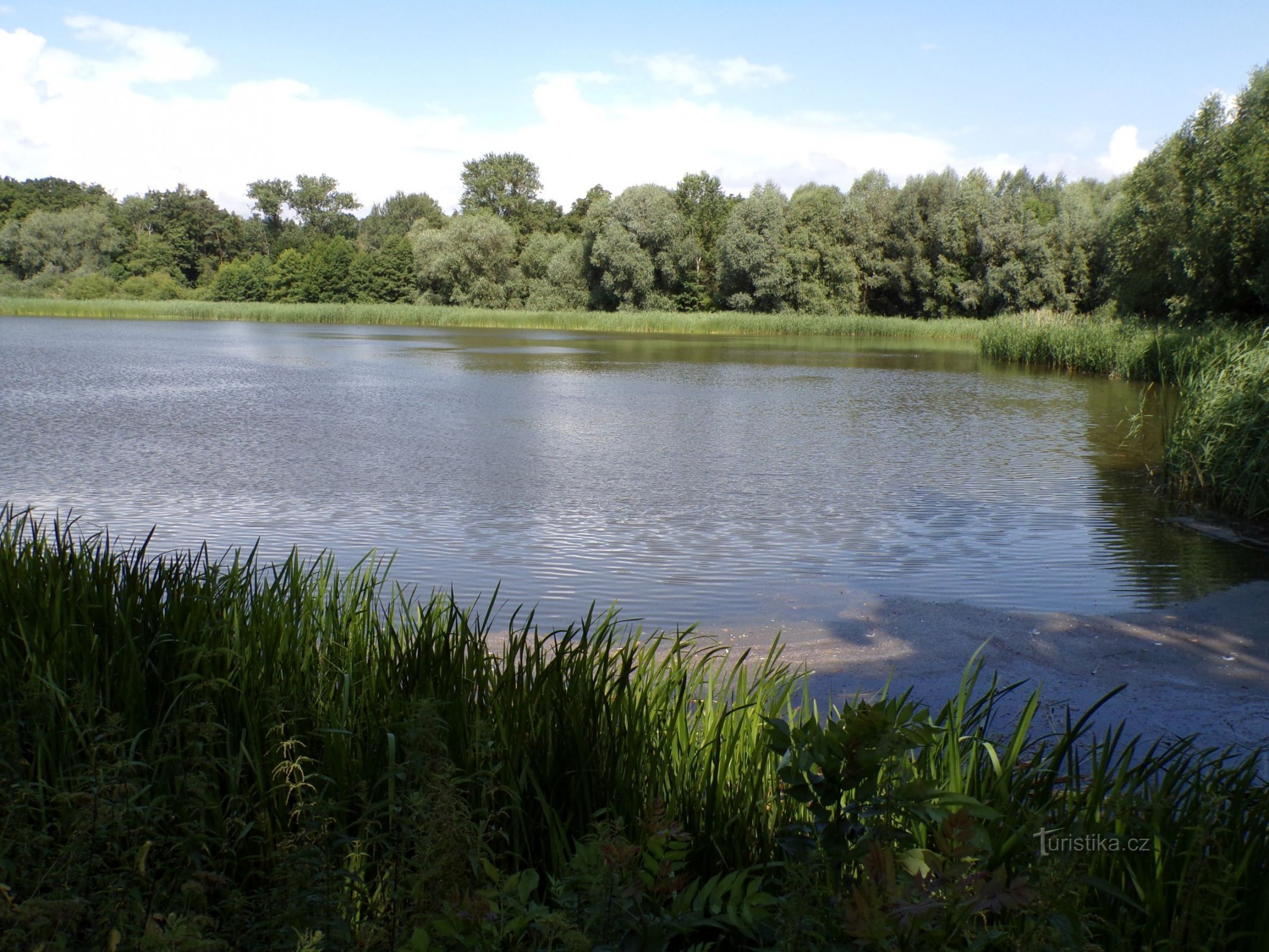 Yên tĩnh Pond (Bohdaneč Spa, 19.7.2021)