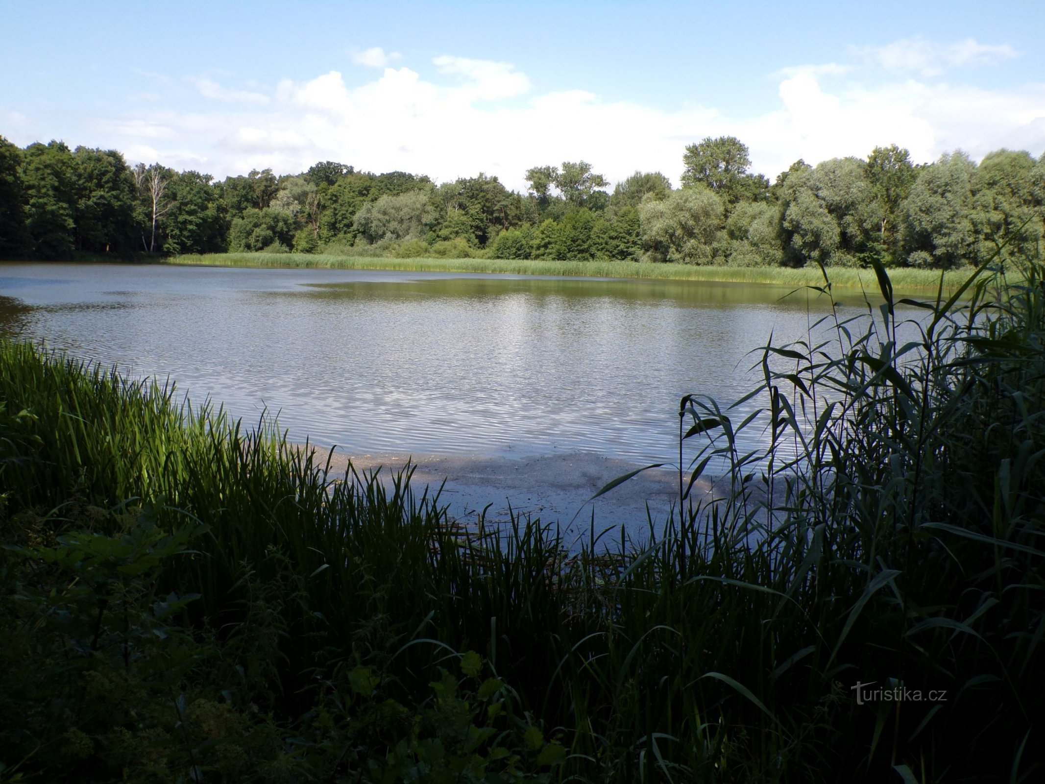 Quiet Pond (Bohdaneč Spa, 19.7.2021)
