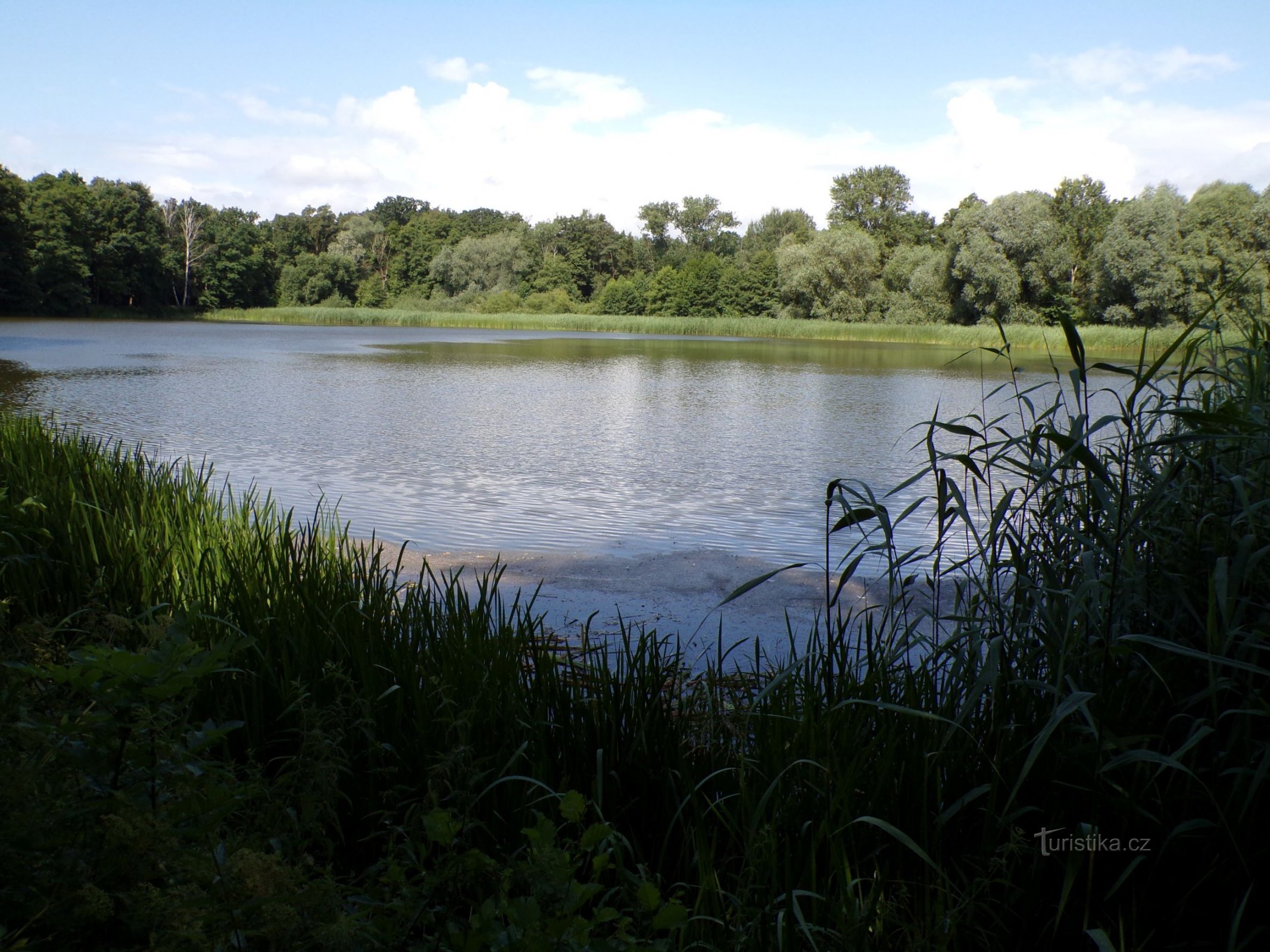 Quiet Pond (Bohdaneč Spa, 19.7.2021 juli XNUMX)