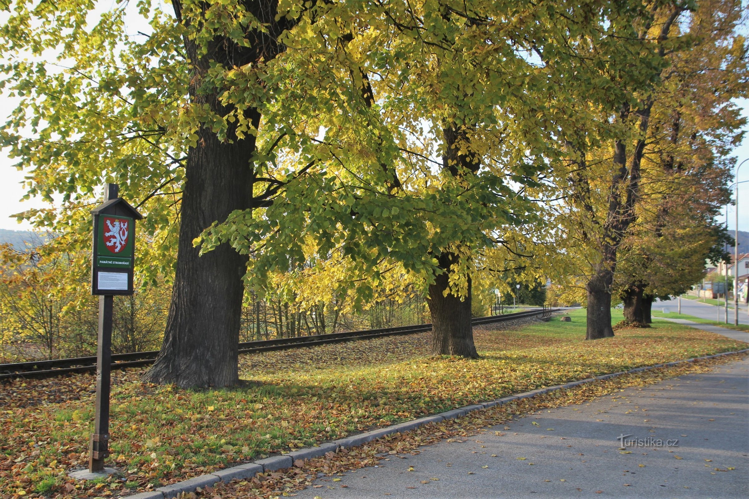 Tišnov - hilera de árboles en la calle Brněnská