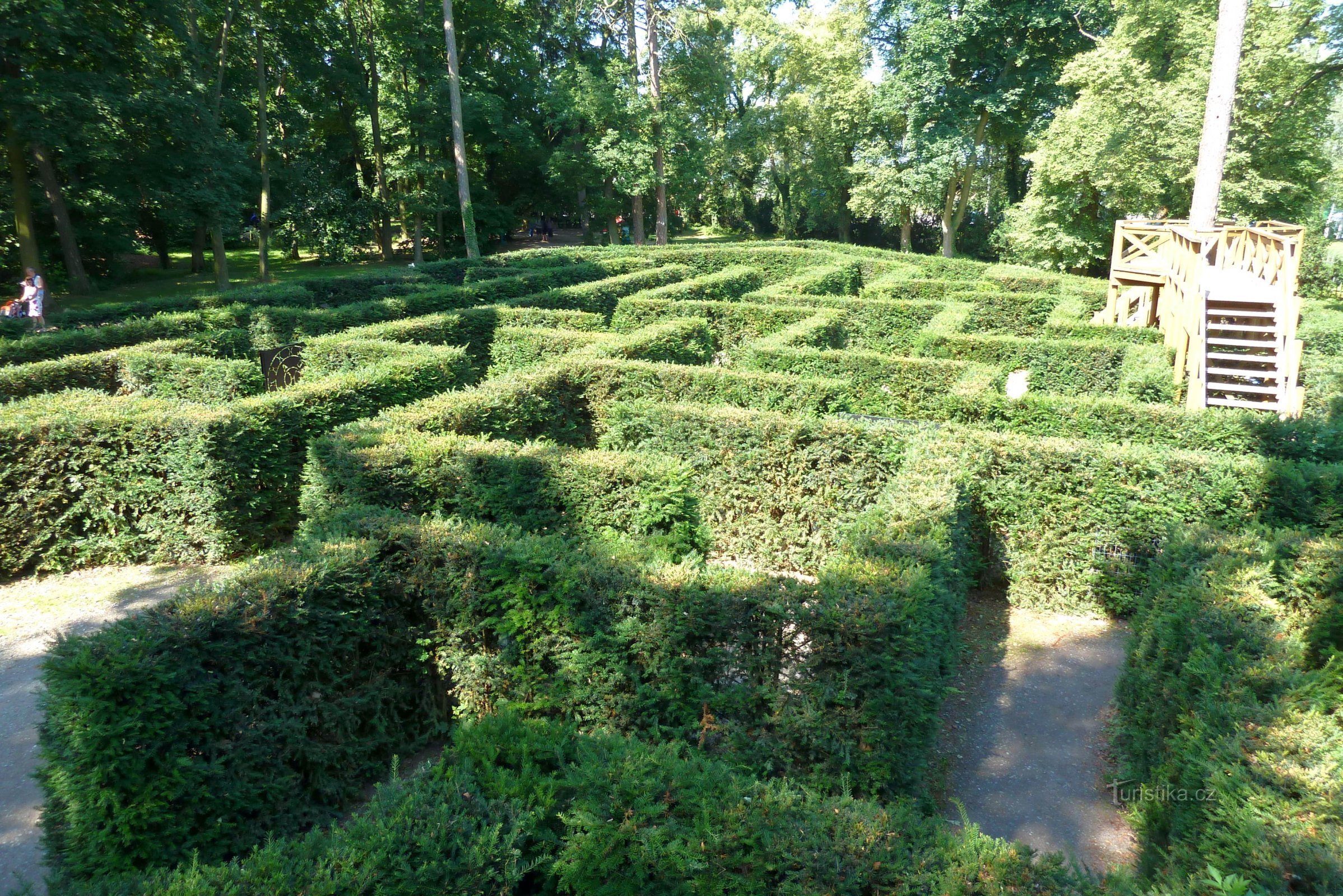 Labyrinthe d'ifs