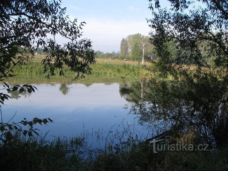 Tiszafa tó