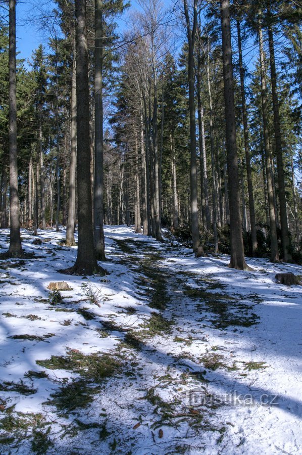 Det fungerar inte på skidor