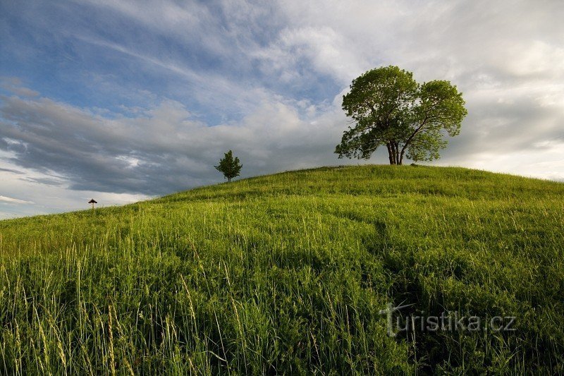 Colline de Tobias