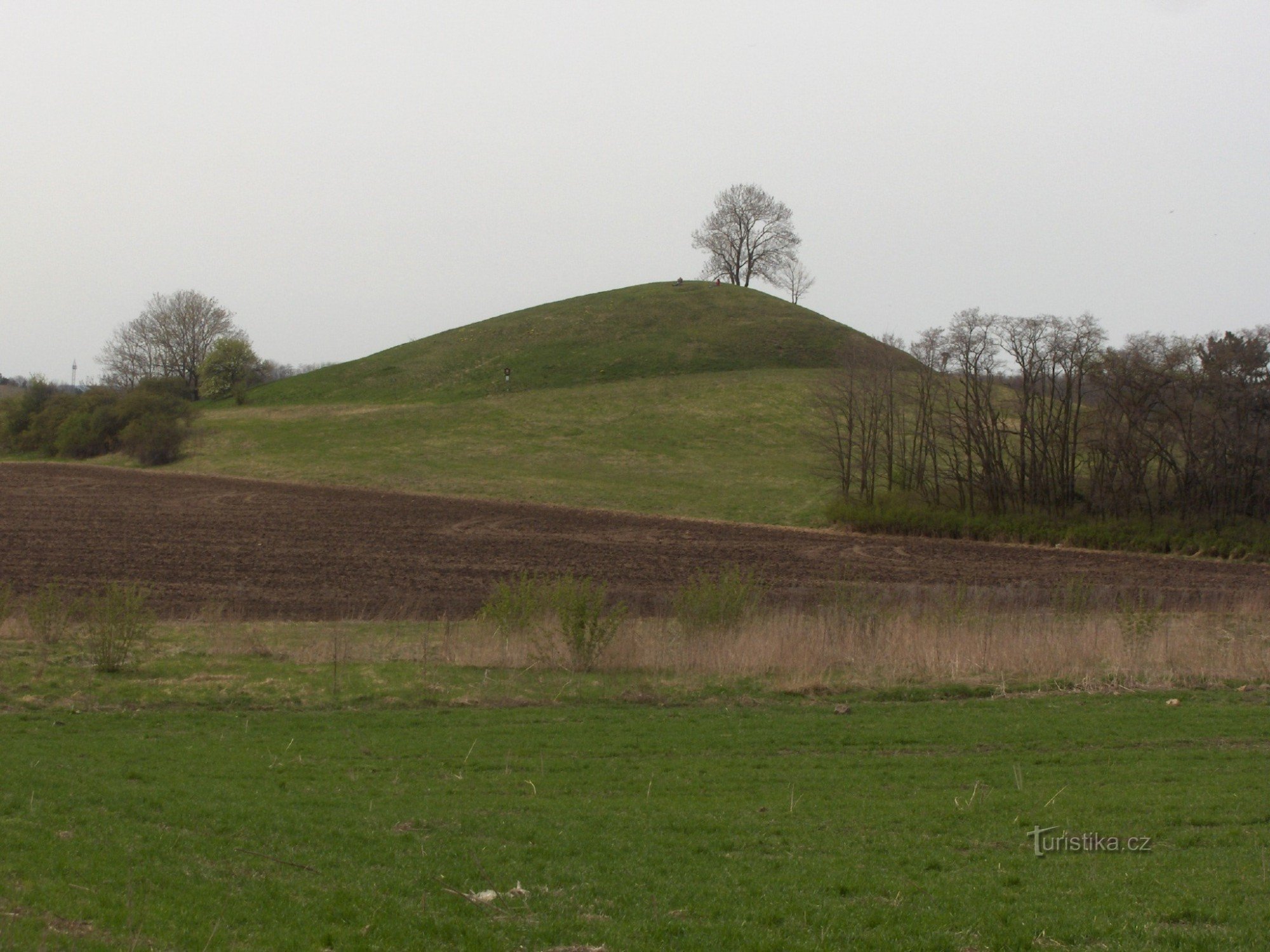 Collina Tobia