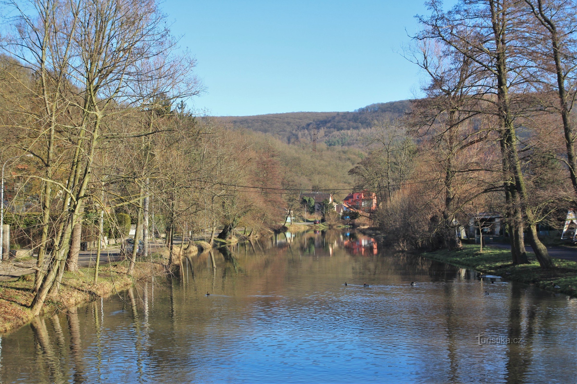 The course of the river Svitava in Obřany, through which Mlýnského nábřeží street passes along the right bank