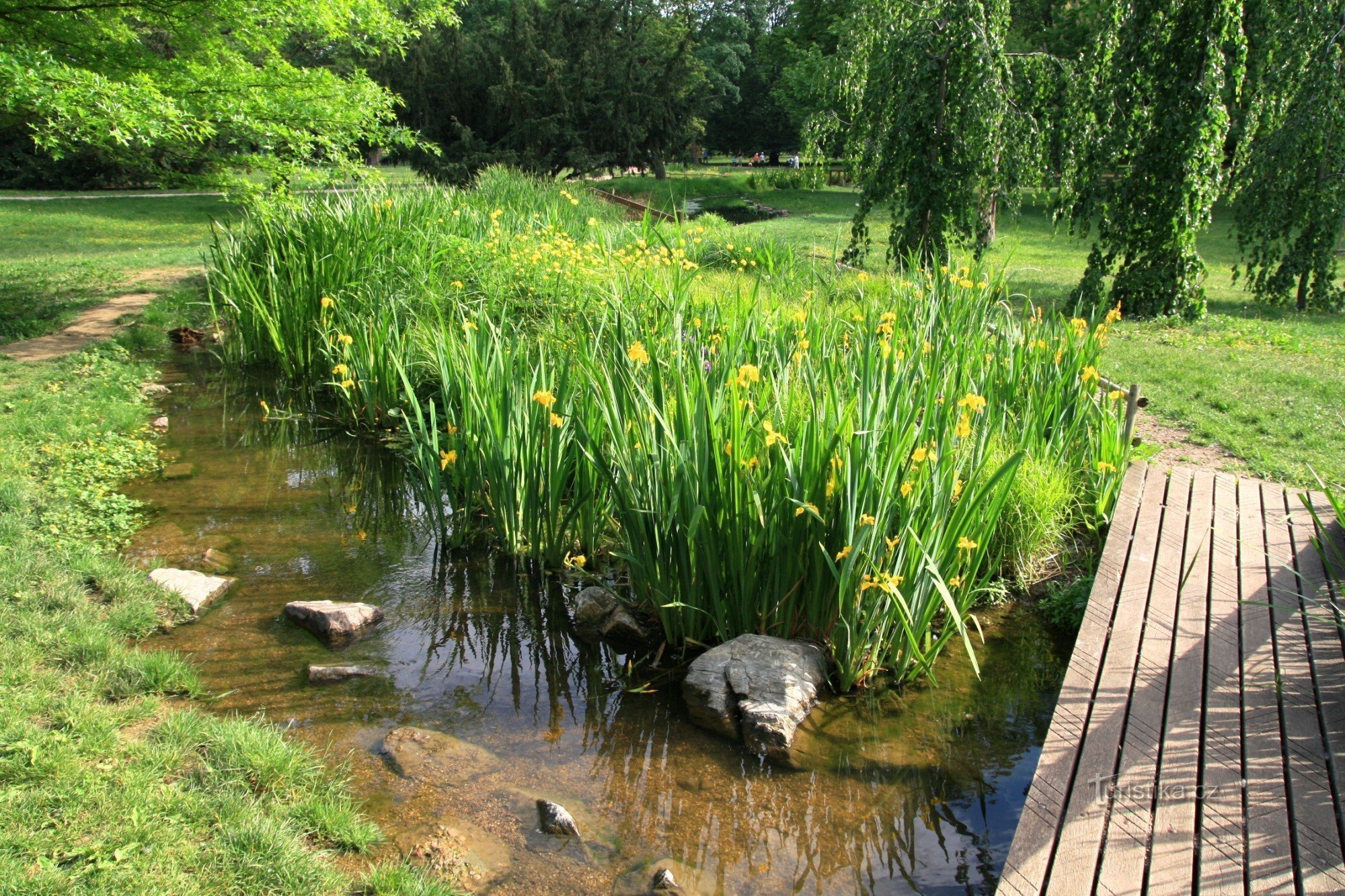 The flow of the Ponávka river in Lužánky