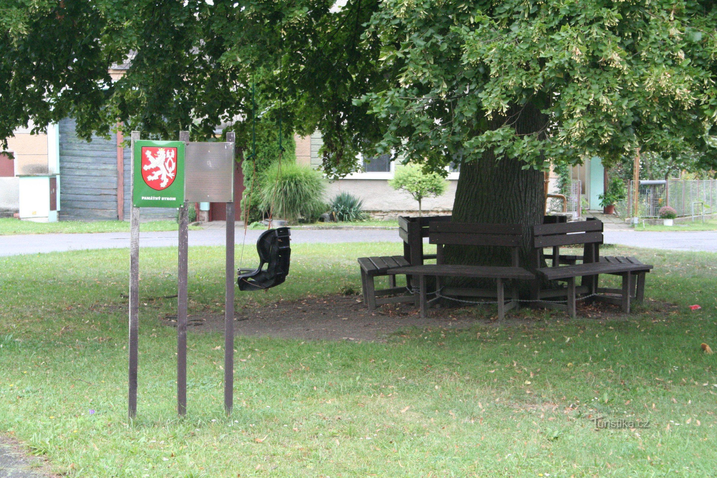 Tomáška's linden in Moravská Hůzová