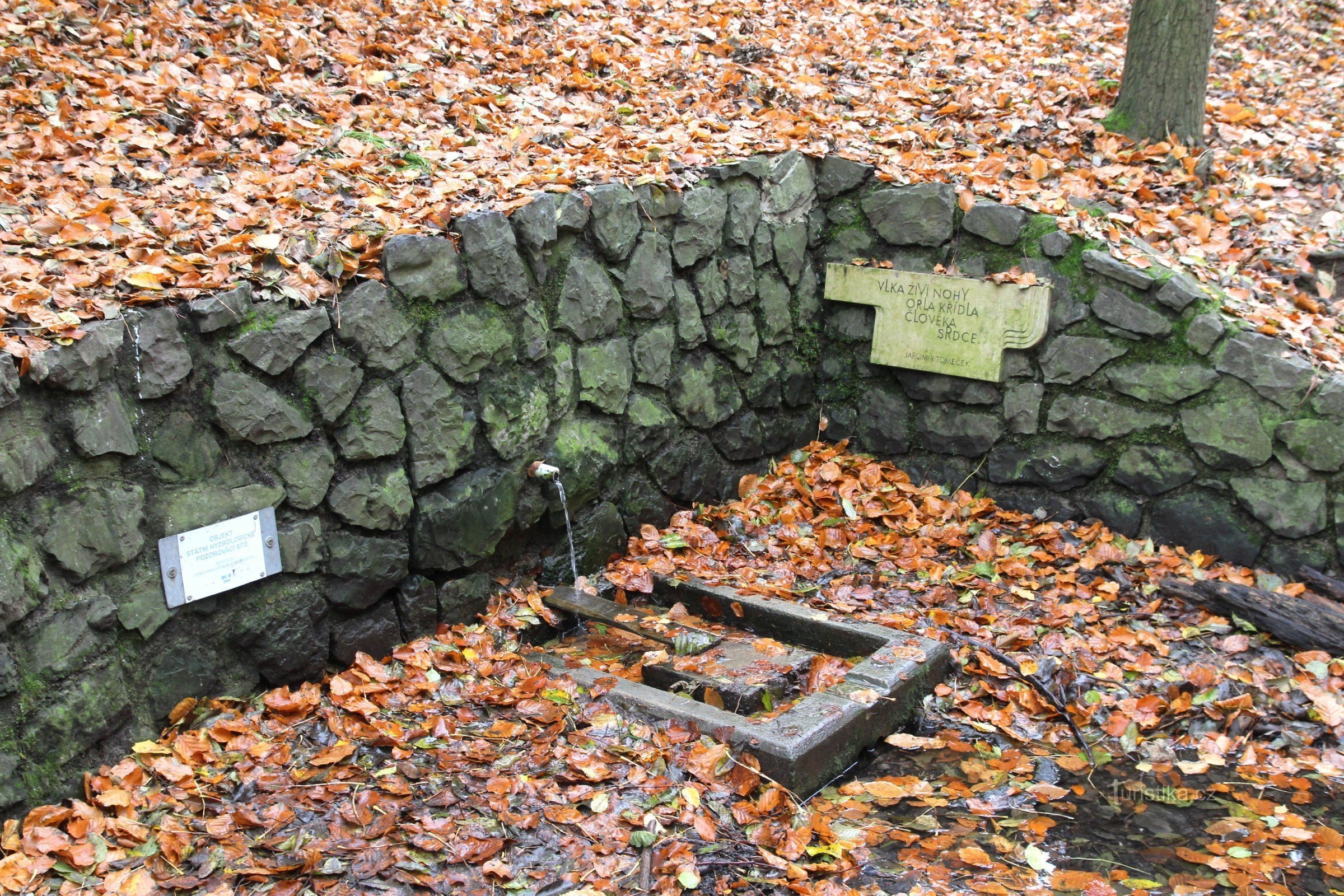 Tomečka's well