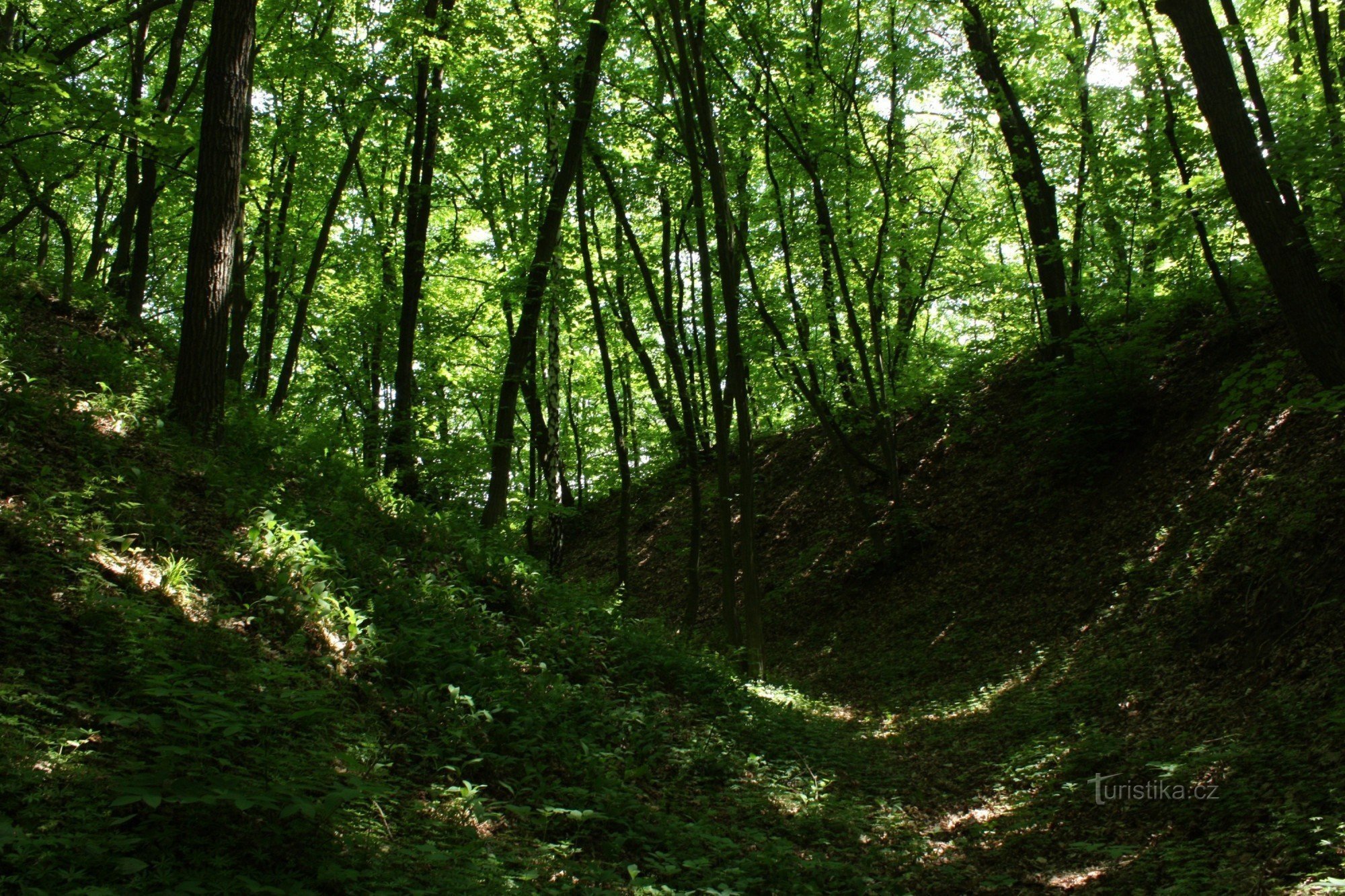 Torso of castle moats