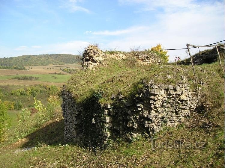 Torso of the castle