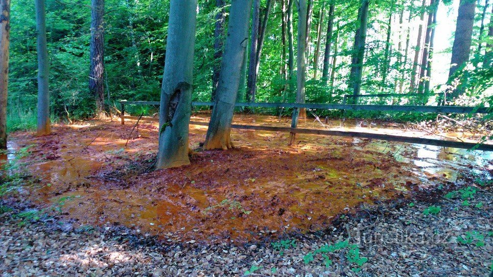 The same, the water spills and continues to flow towards the forest path