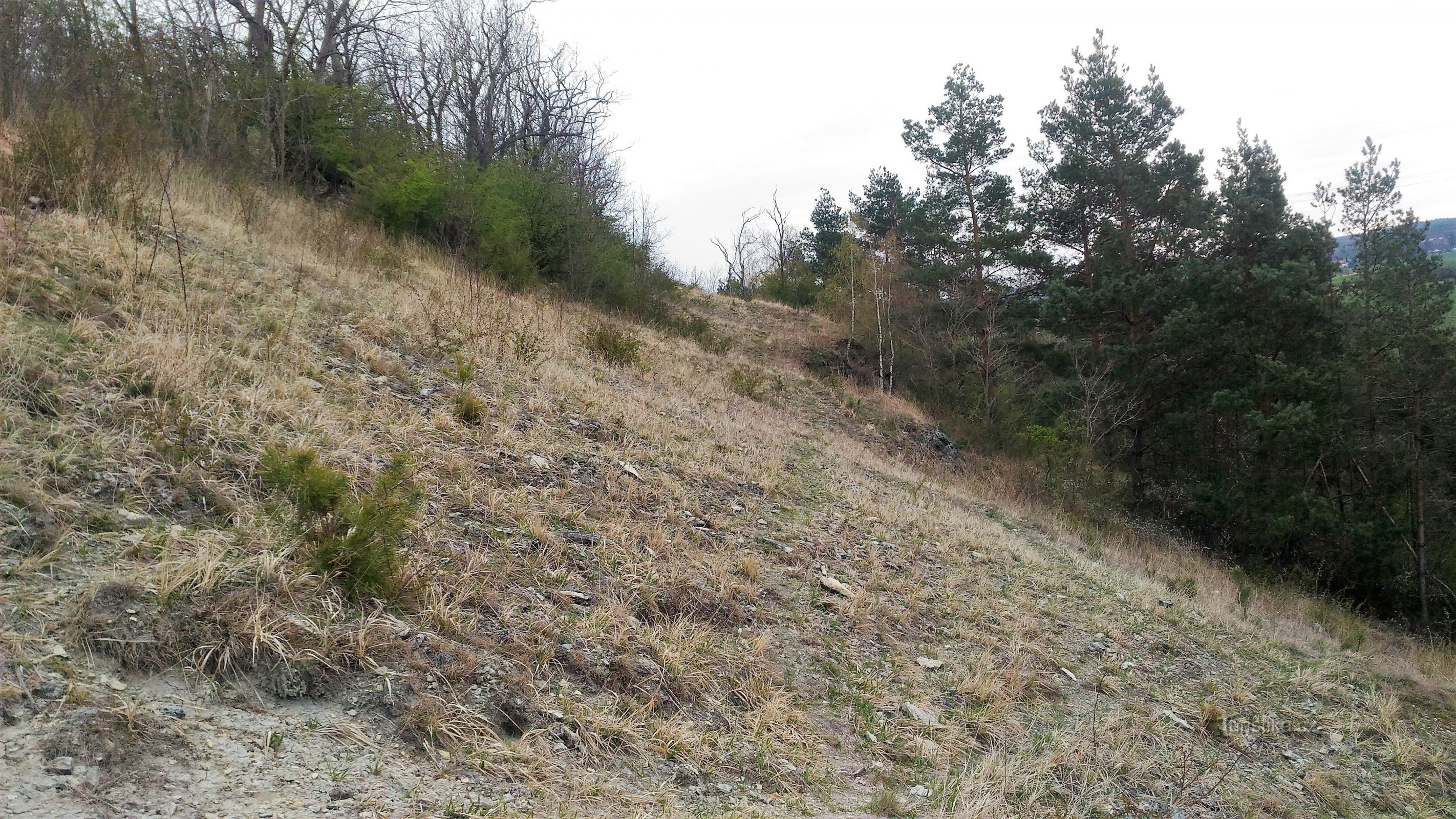 Colline de Touchovica