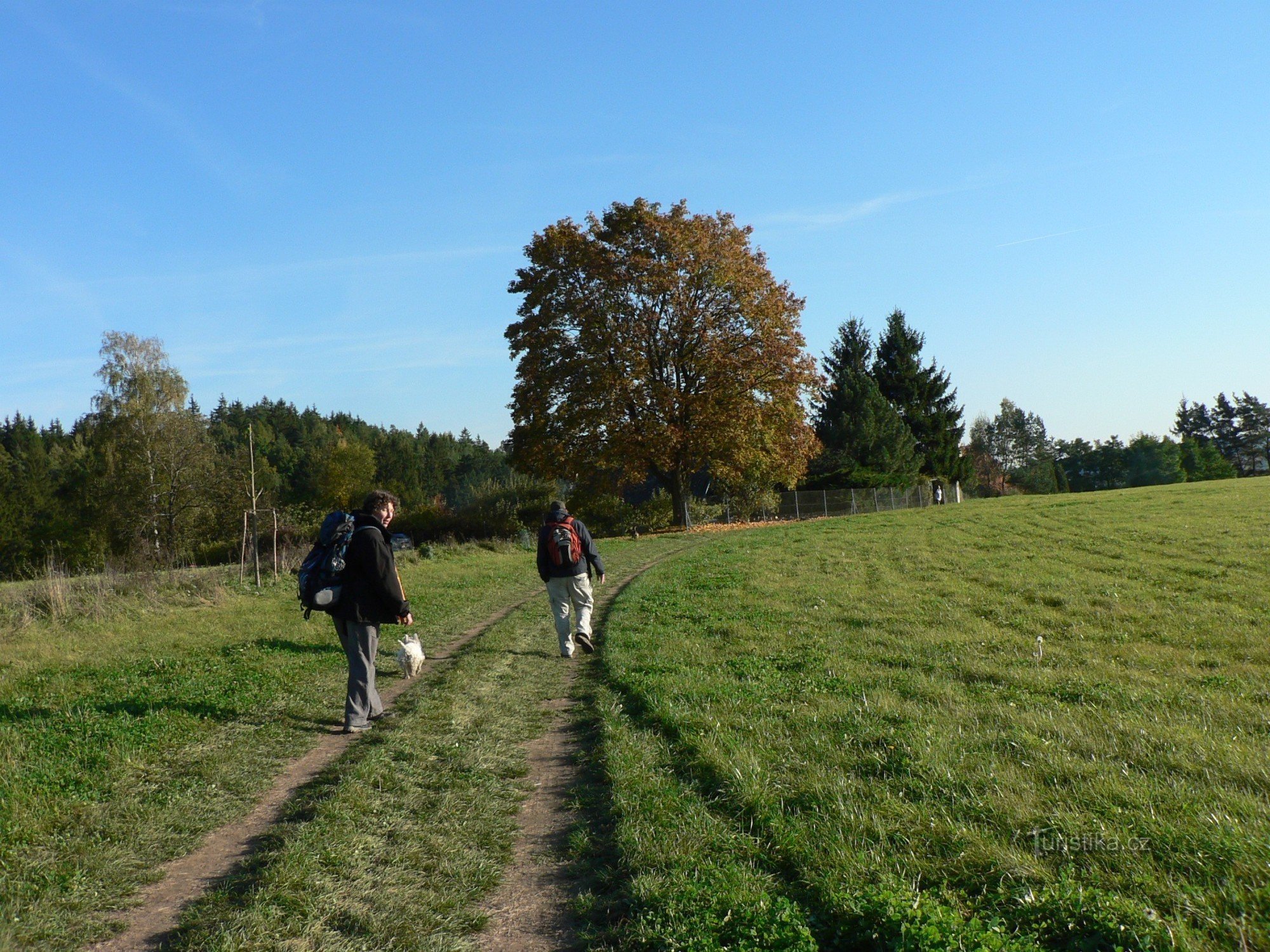 Wandering through the Hornopožareck forests - Vlčí rokle and Halíře tunnel