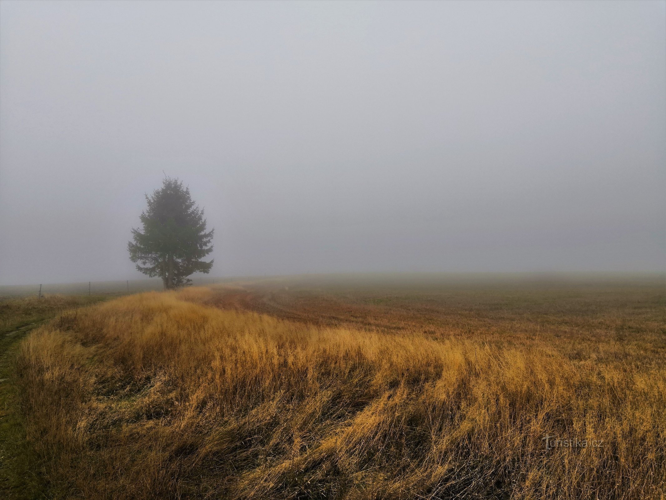 Wanderung durch das Erzgebirge - Katharinenberg - Český Jiřetín, 8. Etappe.