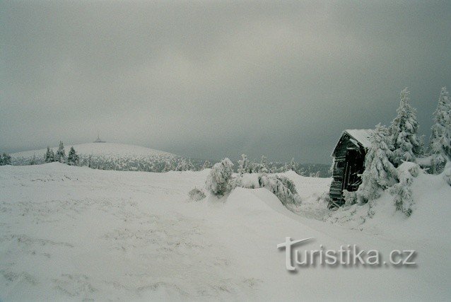 SNØ-SKO GÅR GENNEMGÅ ASKESKOVEN - FRA LILLE MORAVKA TIL PETERS STENE