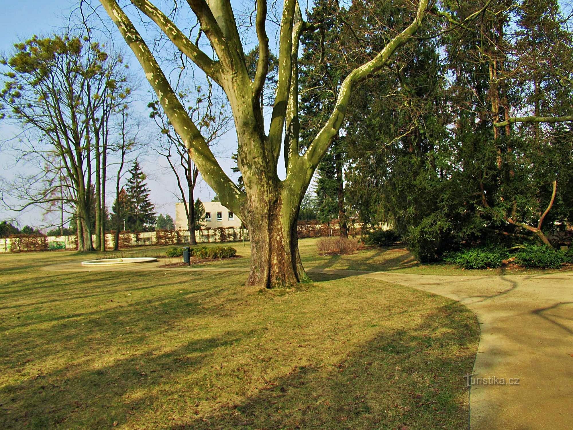 Se promener dans l'ancienne Lipník nad Bečvou