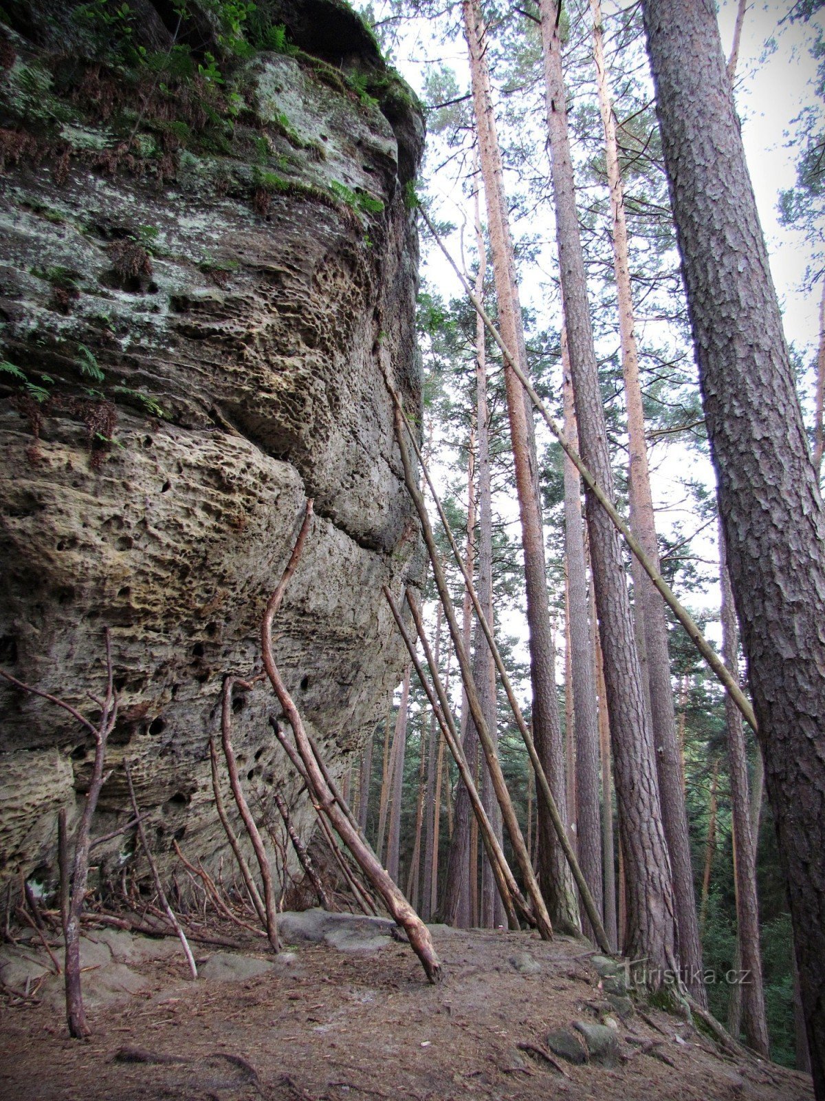 конюшни Тулова