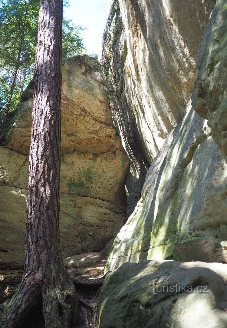 Toulovcovy Maštale, Réserve naturelle