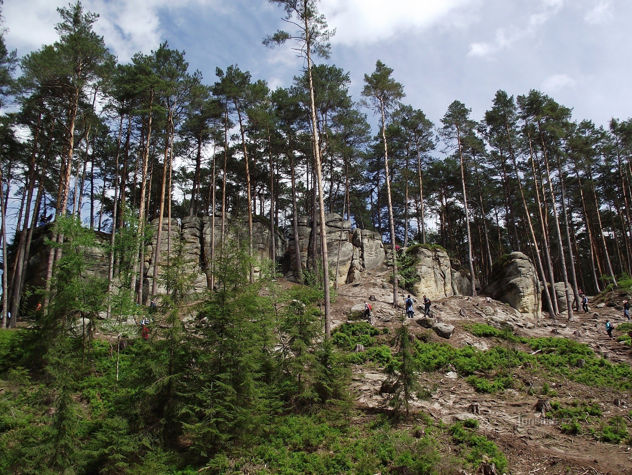 Toulov istállója – rockparádé