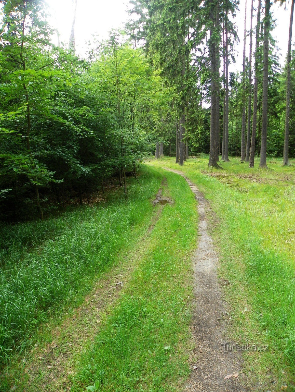 Kapearaiteinen reitti tänään